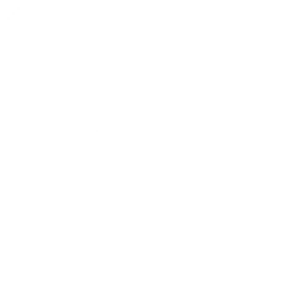 TikTok Logo
